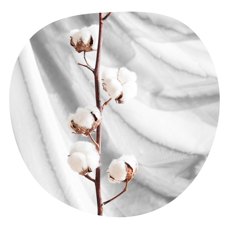 Prírodný tuhý dezodorant – Svieža bavlna 50ml