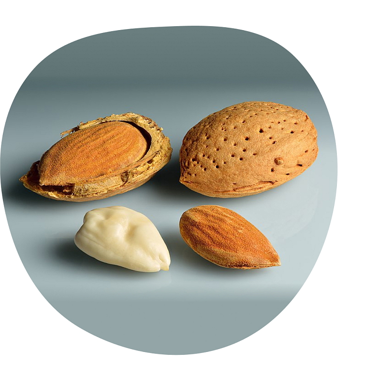 Mandľový olej lisovaný za studena 100ml