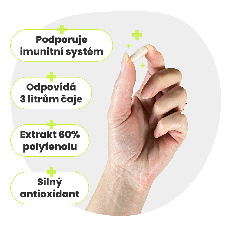 Zelený čaj - 60% polyfenolov 90 kapsúl