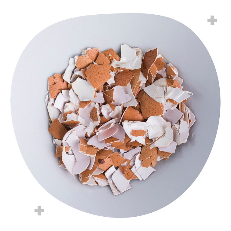 Ca + MAXIMAL 90 kapsúl