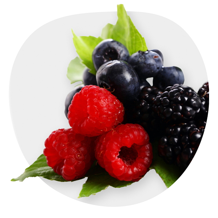 Prírodný tuhý dezodorant – Lesné ovocie 50ml