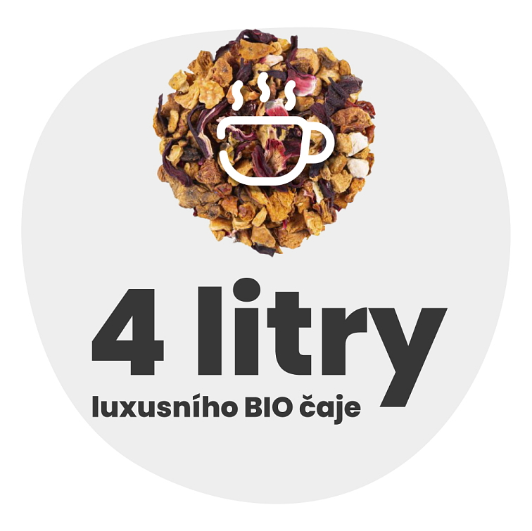 Pomarančový sen BIO čaj 100g