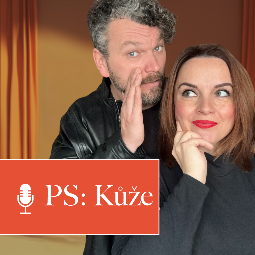článek
