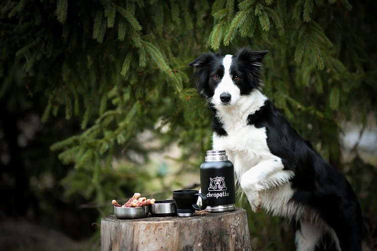 Multifunkční nerez termoska/láhev strawberry Chrápátko