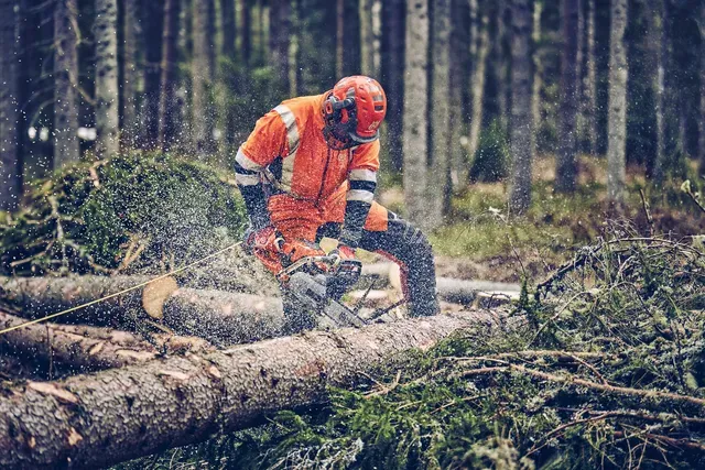Husqvarna 562 XP® Mark II