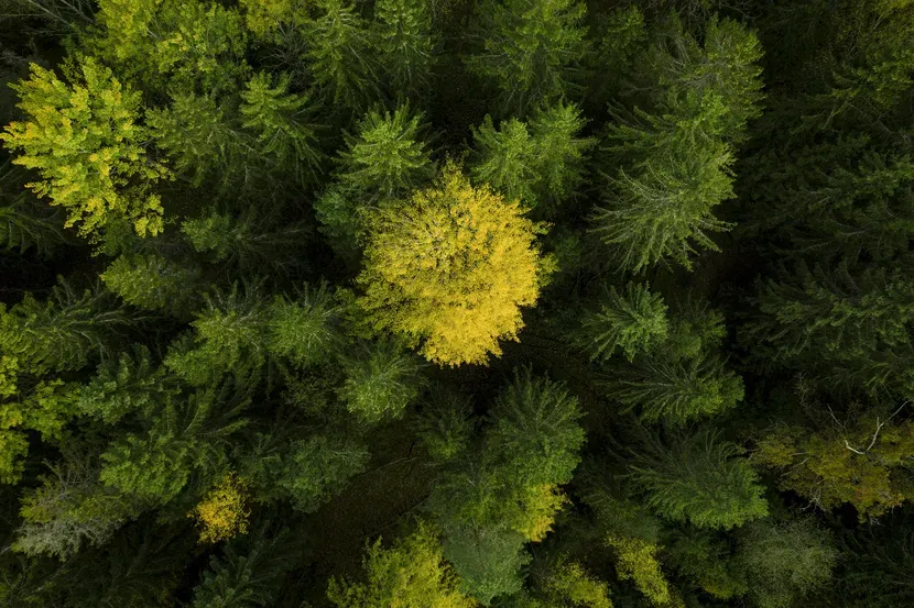 Husqvarna 240i​ s akumulátorem a nabíječkou