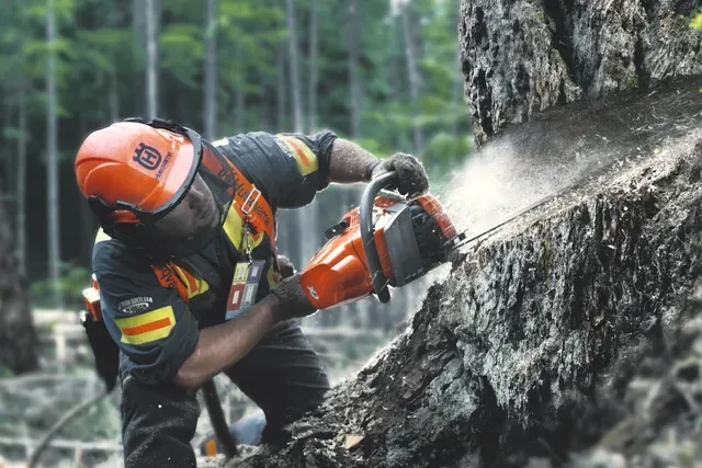 HUSQVARNA 550 XP® Mark II