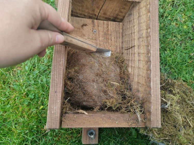 Už jste vyčistili a pověsili ptačí budky?