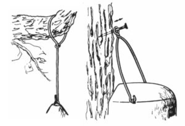 Není hřebík jako hřebík aneb Jak správně pověsit budku na strom?