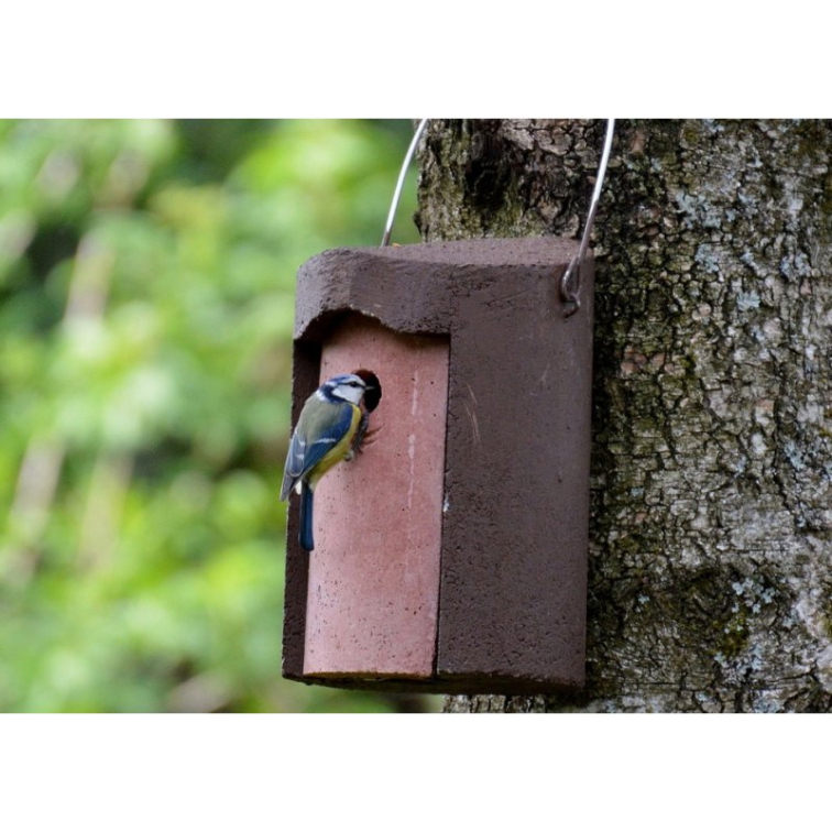 Dárky, které potěší a jsou přátelské k přírodě: jak na zelenější Vánoce?