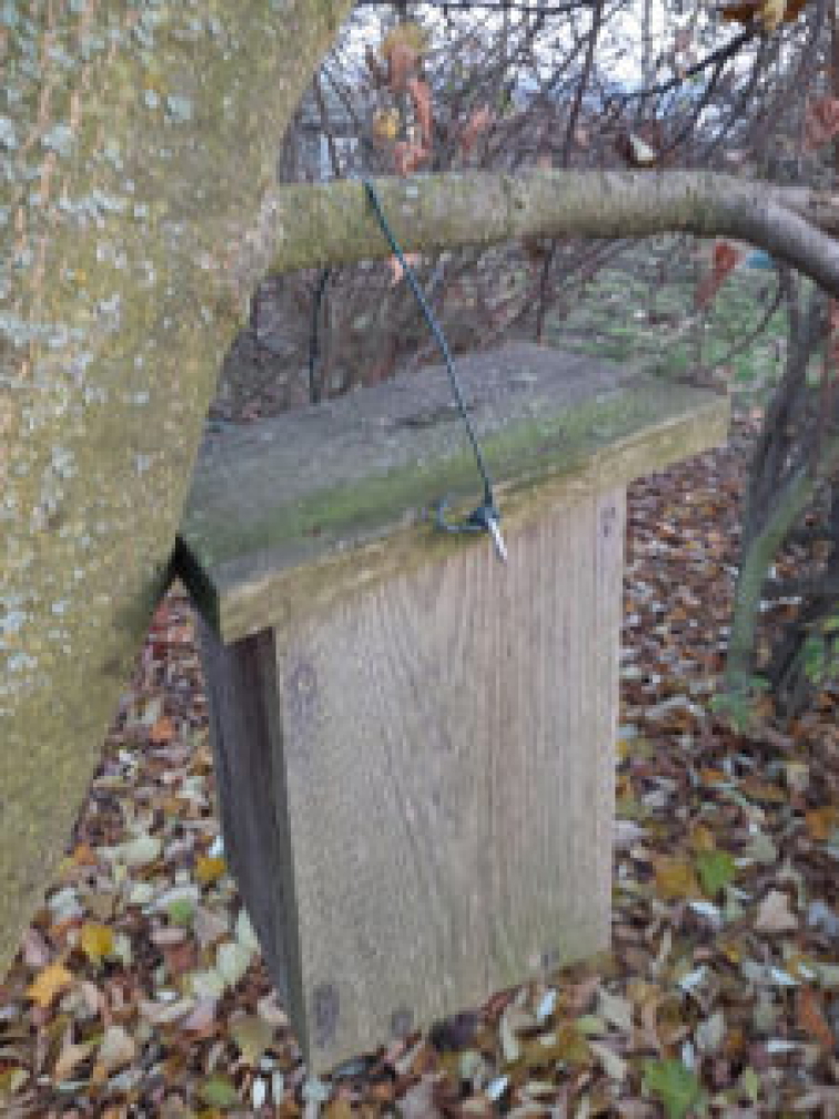 Není hřebík jako hřebík aneb Jak správně pověsit budku na strom?