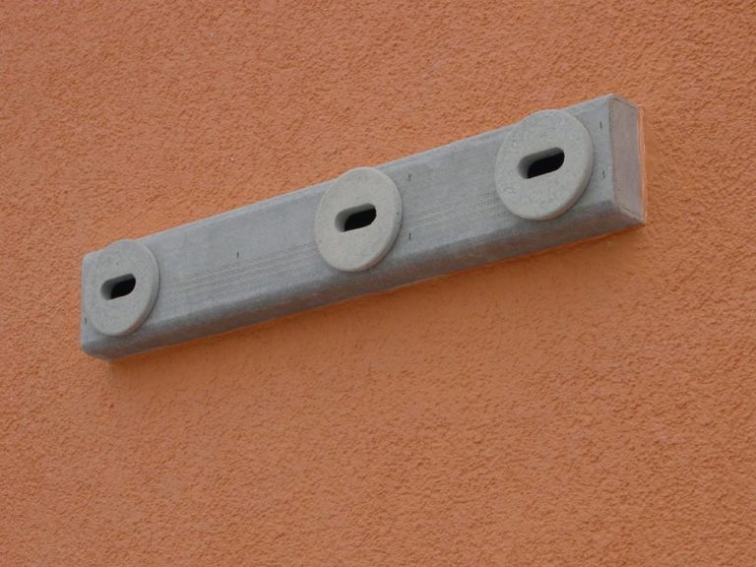 Rorýsi a jejich soužití s lidmi