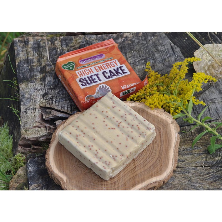 Suet To Go se vrací! Čím je toto britské ptačí krmivo tak speciální?