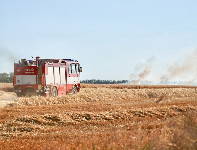 Biochar 10 litrů - pro pokojovky