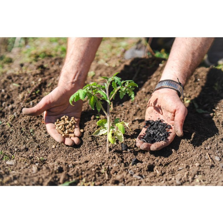 Pěstování rajčat - Zvýhodněné sety pro pěstování rajčat bez chemie