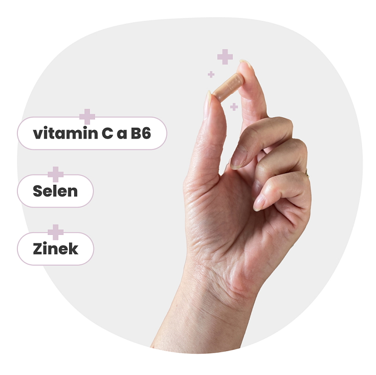 RENOIMU MAXIMAL 90 tobolek