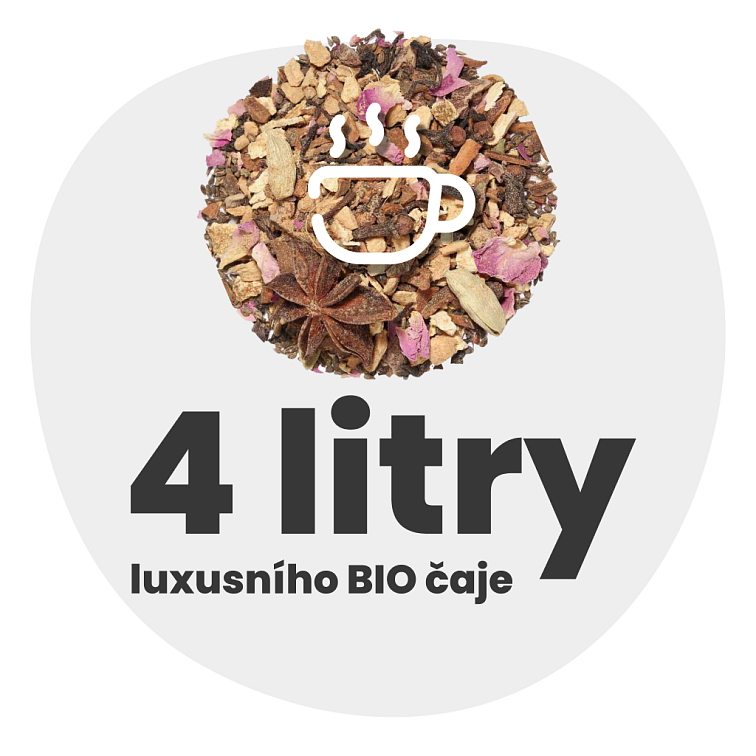 Zimní hřejivý BIO čaj 100 g