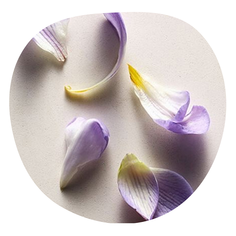 Bakuchiol Day & Night cream