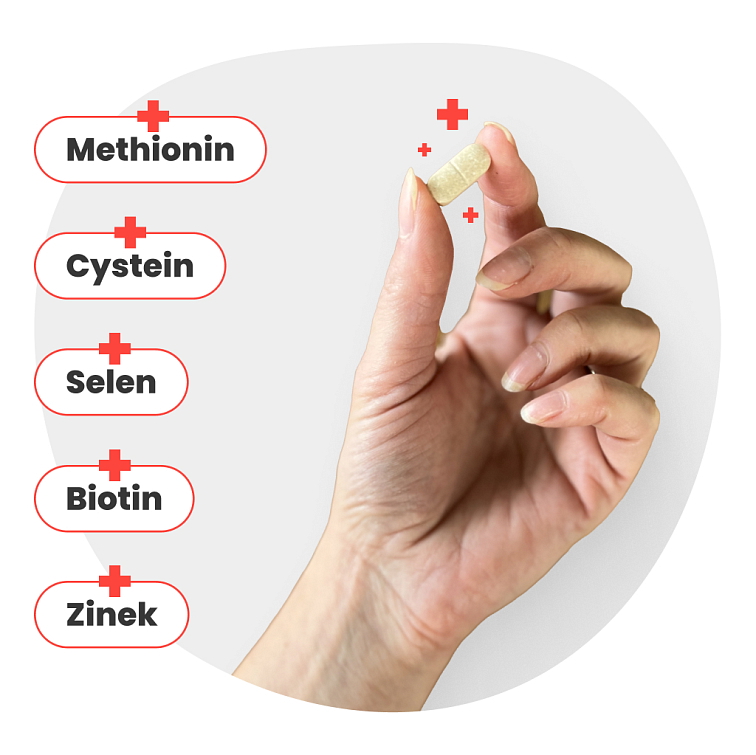 Renohair MAXIMAL 90 tablet