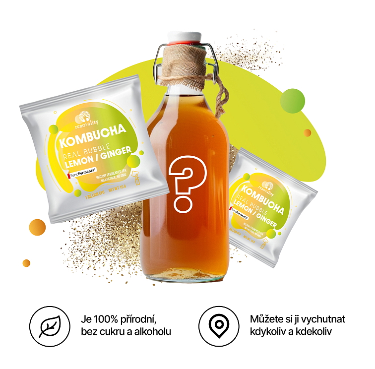 Kombucha Real Bubble Lemon/Ginger