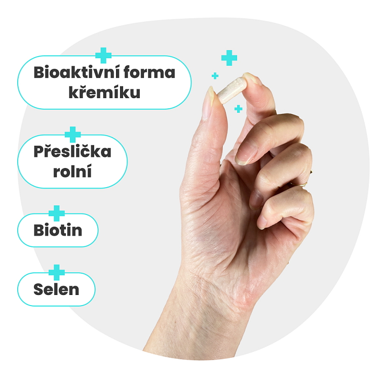 Přeslička rolní Maximal 90 tobolek