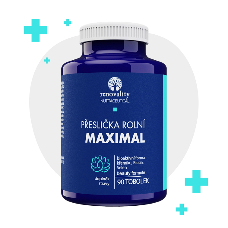 Přeslička rolní Maximal 90 tobolek