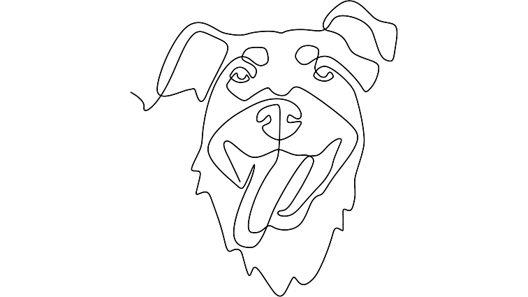 MACs Dog SOB, ZELENINA a těstoviny 400g