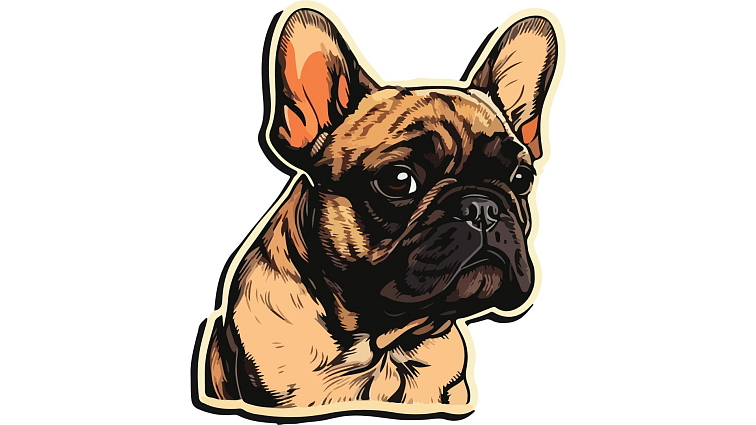 primordial krmení pro psy