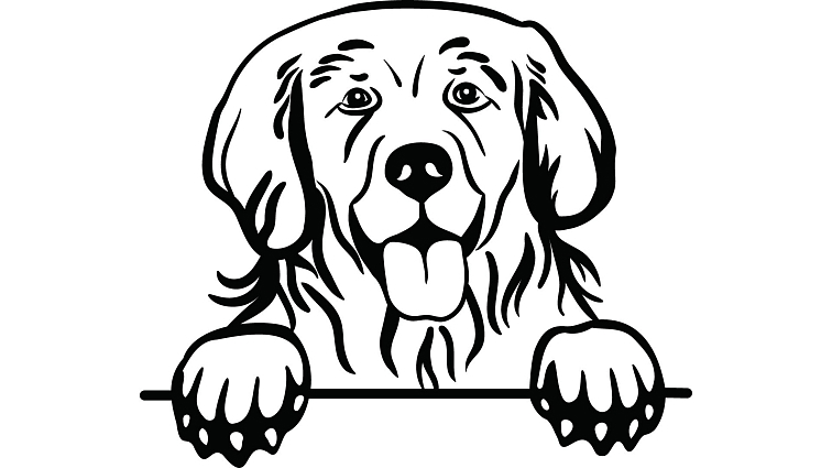 krmivo pro psy primordial