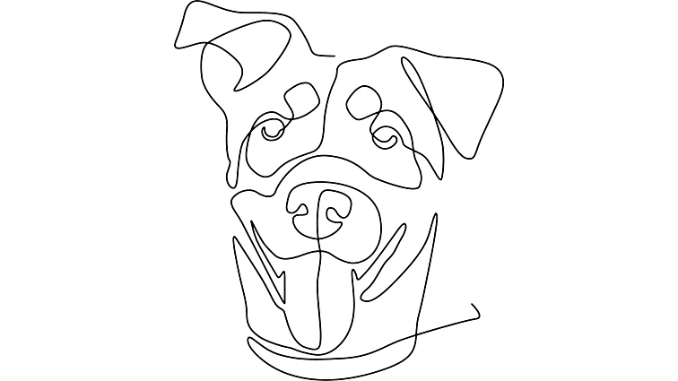 100% masové konzervy pro psy