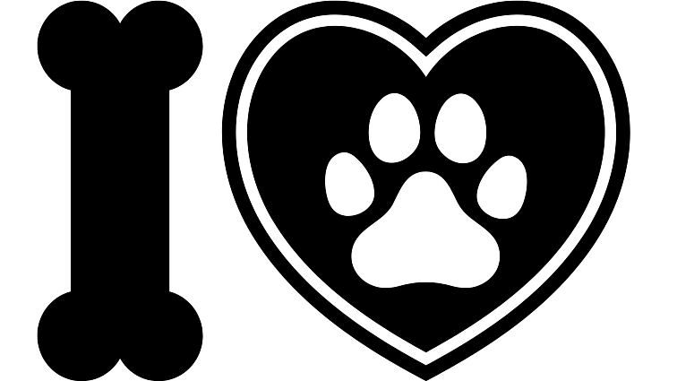 N&D Grain Free Pumpkin MINI Boar & Apple