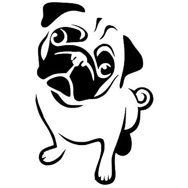 psí konzervy s masem