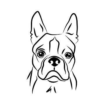 MACs Dog KRÁLÍK a ZELENINA 400g