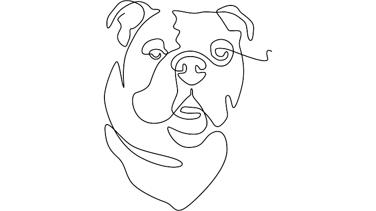 N&D PRIME DOG Adult Mini Boar & Apple