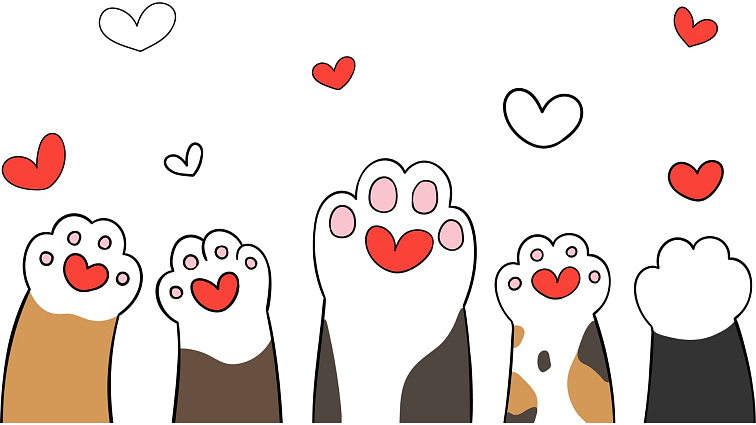 N&D Low Grain Puppy Mini Lamb & Blueberry