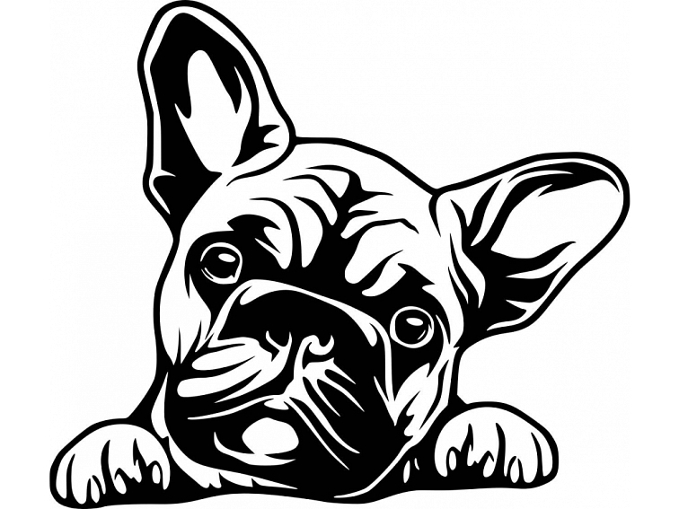 masové konzervy pro psy