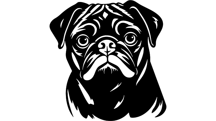 MACs Dog KUŘE a JEHNĚ 400g