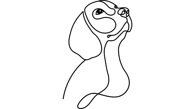 granule pro psa s konopím