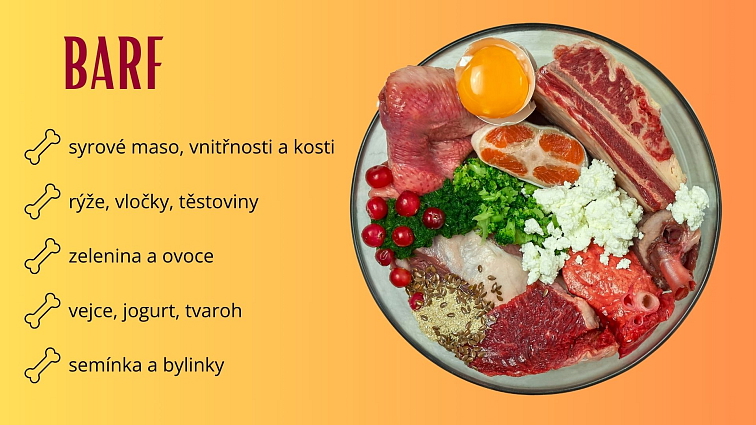 Mražené maso pro psy