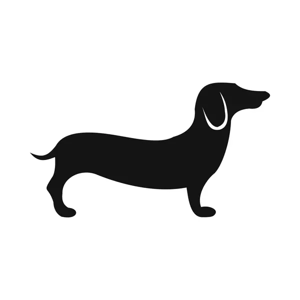 MACs Dog KUŘE a BRUSINKA 800g