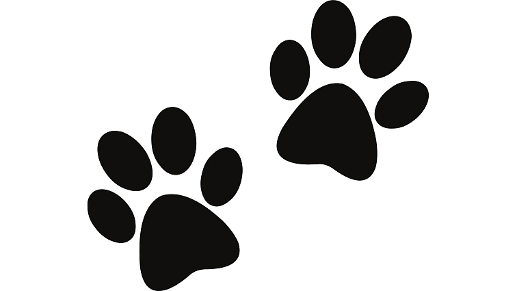 MACs Dog KUŘE a BRUSINKA 400g