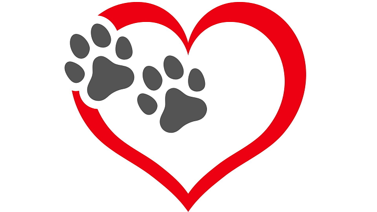 krmivo pro psy Primordial