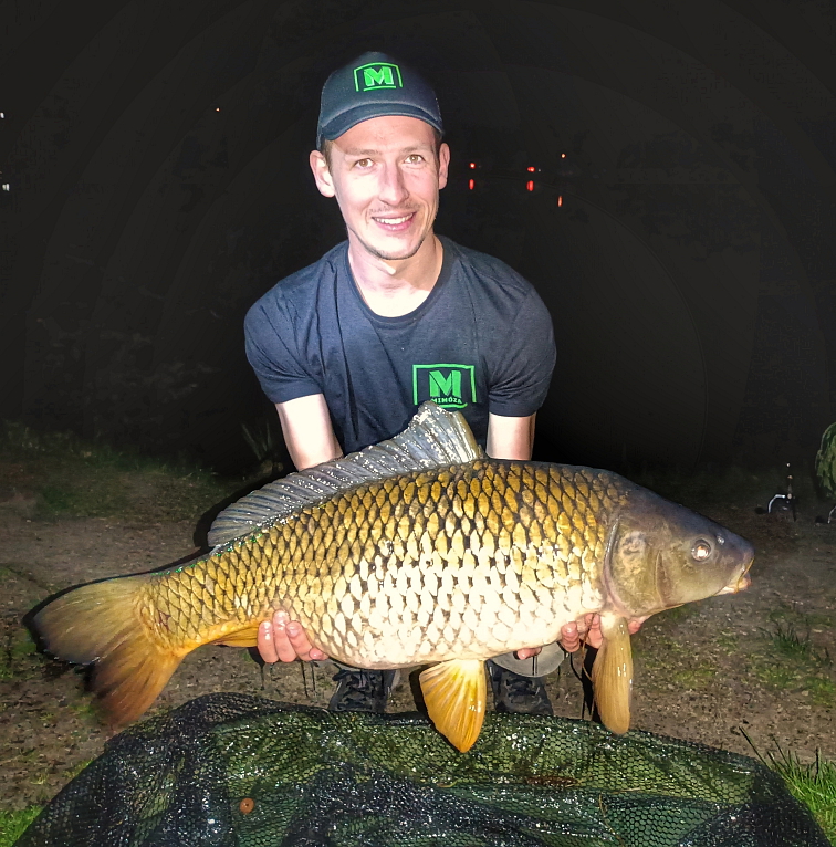 Mimóza Chytací boilies M1 Pikantní švestka 20 mm