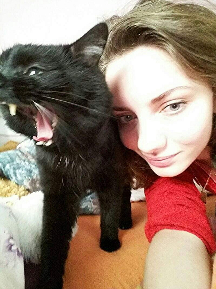 SF Krůta a kuře - dospělá kočka