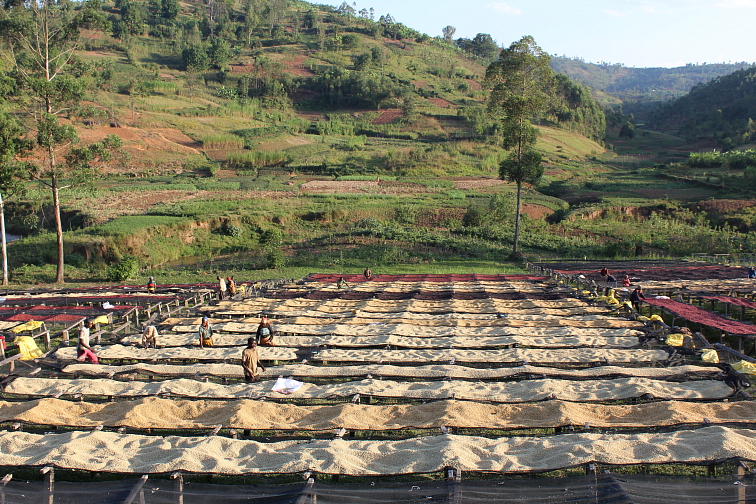 Burundi Gakenke