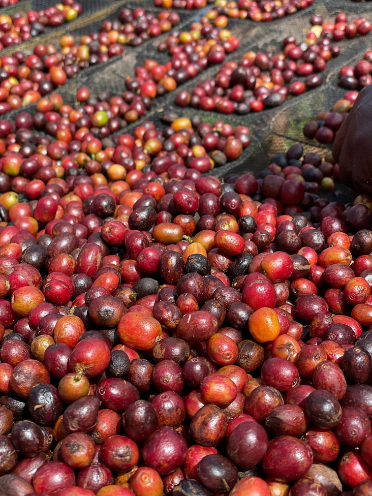 Rwanda Busanze