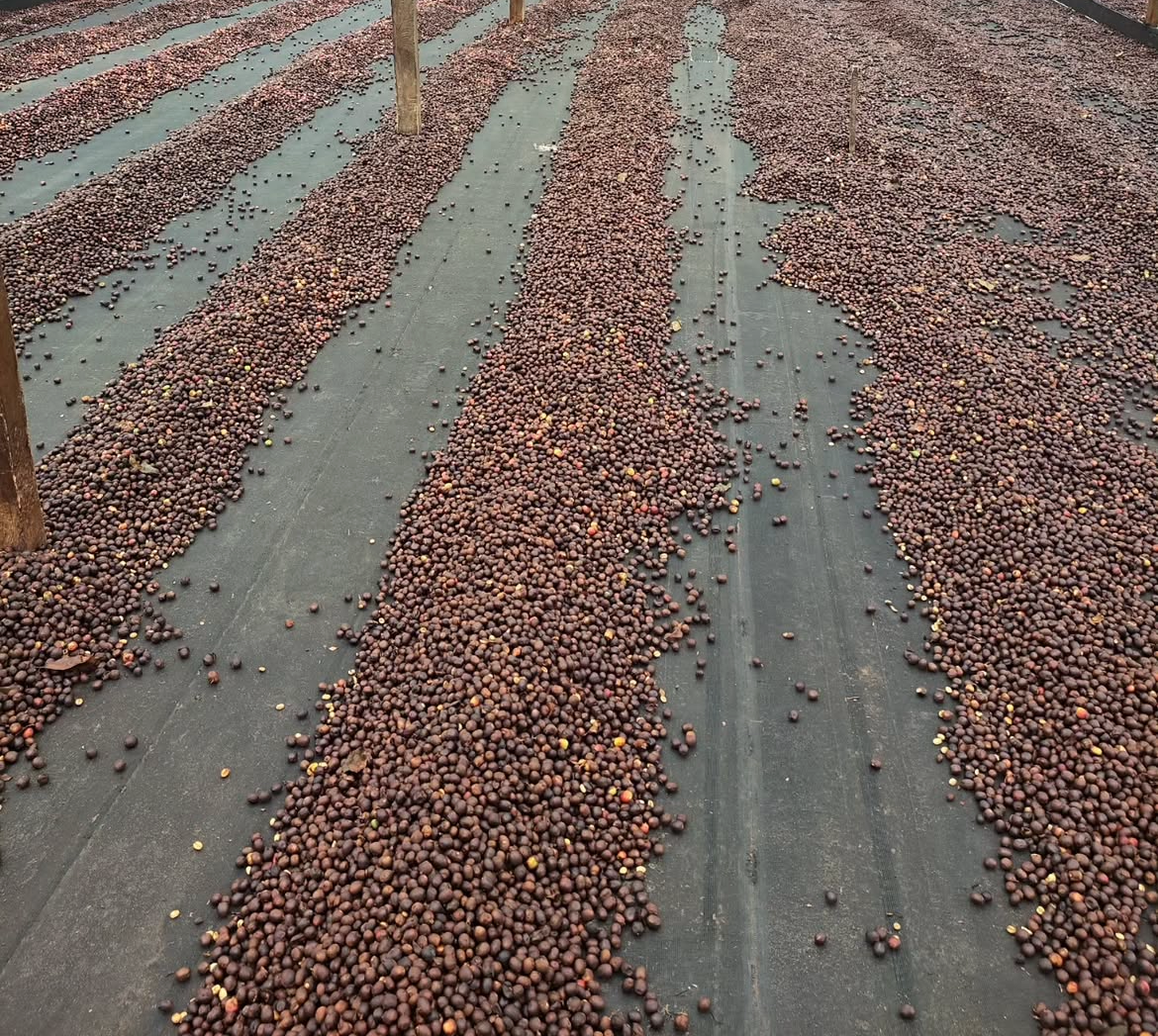 Colombia Edinson Argote