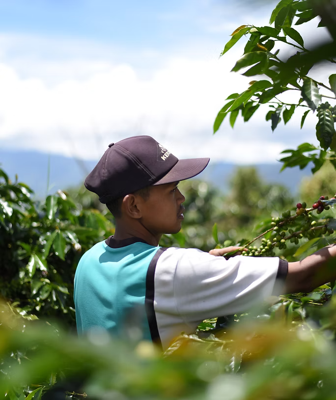 Indonésie Rukun Saudara