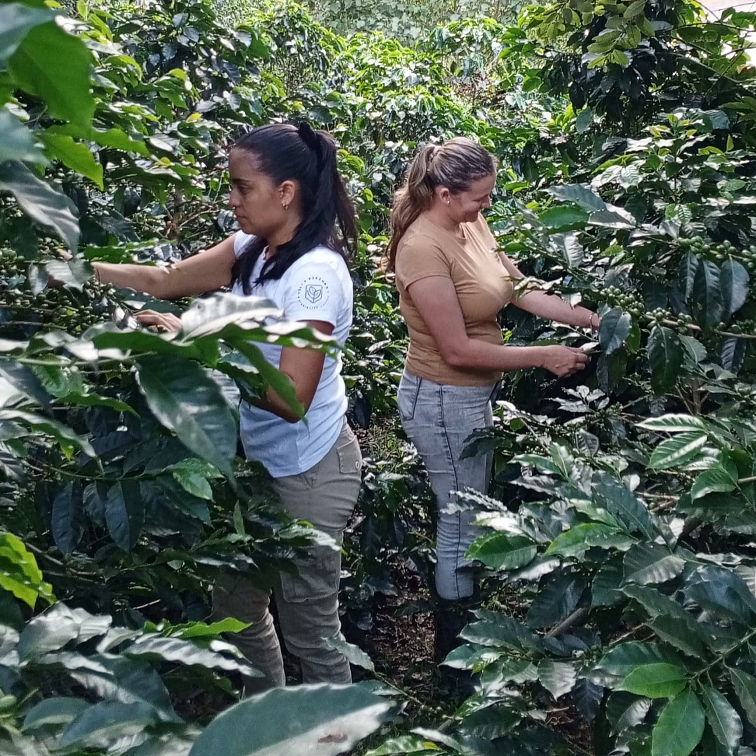 Colombia Edinson Argote