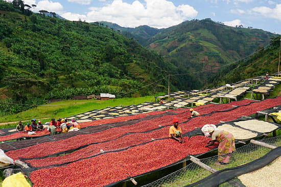 Burundi Gakenke